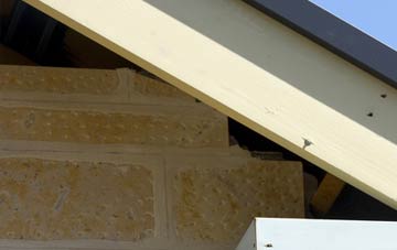 soffit repair Dunans
